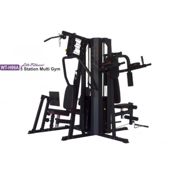 Lifespan WT-H99A 5 Station Multi Gym: A black multi-station home gym equipment with adjustable weights, multiple exercise stations, and padded seats. The equipment includes a bench press station, a lat pulldown station, a pec deck station, and a low row station. The word "Lifespan" is printed on the front of the machine.