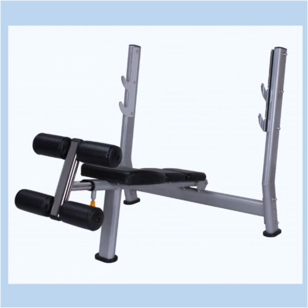 this is a product image showing front view Decline Weight Bench Premium WT-A51