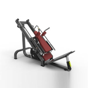 this is a product image showing front view Leg Press with Hack Squat DFT-698