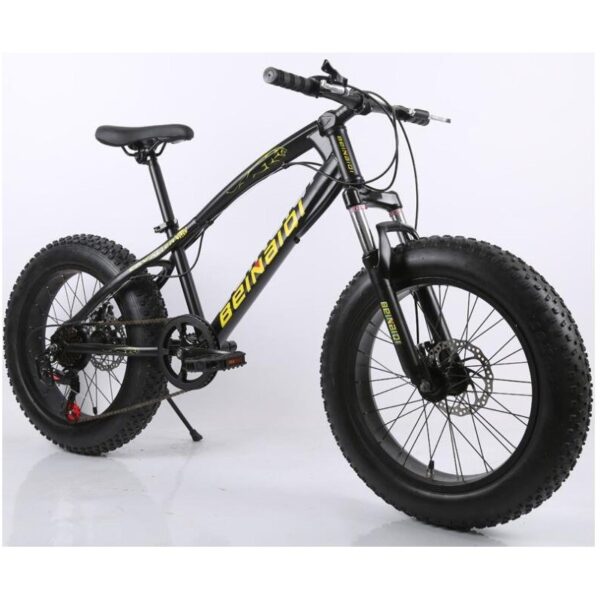 this is a product image showing front view Leopard Snow Sports Bike LS26