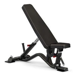 this is a product image showing front view Sole Fitness Multi-Angle Ab Utility Bench Sfi-100