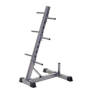 A gray steel Olympic weight plate tree with four horizontal bars for storing weight plates. The tree has a wide base for stability and is designed to hold Olympic-sized weight plates.