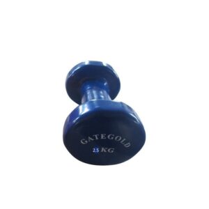 A blue vinyl-coated dumbbell with the text "GATEGOLD" and "25 KG" printed on it. The dumbbell has a hexagonal shape and a grooved handle.