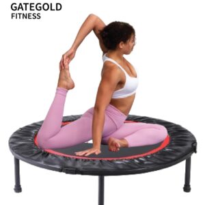 A person is standing on a mini trampoline. The trampoline has a black frame and a blue mat. The text "GATEGOLD FITNESS" is printed on the mat. The specific model of the trampoline cannot be determined from the image.