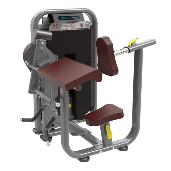 DFT-1690 Commercial Biceps And Triceps Machine