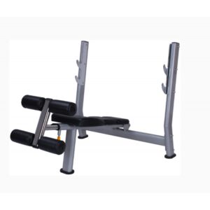 F-A51 Declined Weight Bench