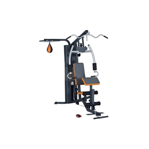 GG3001F-2 One Station Multi Gym